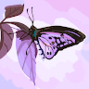 Meet your Posher, Avery